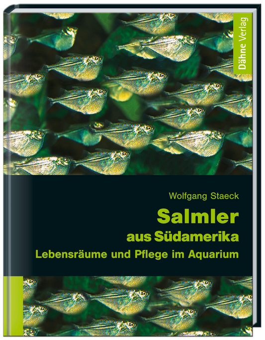 Salmler aus Südamerika