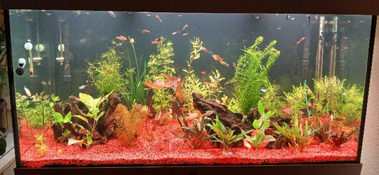 Leser-Aquarium April 2026