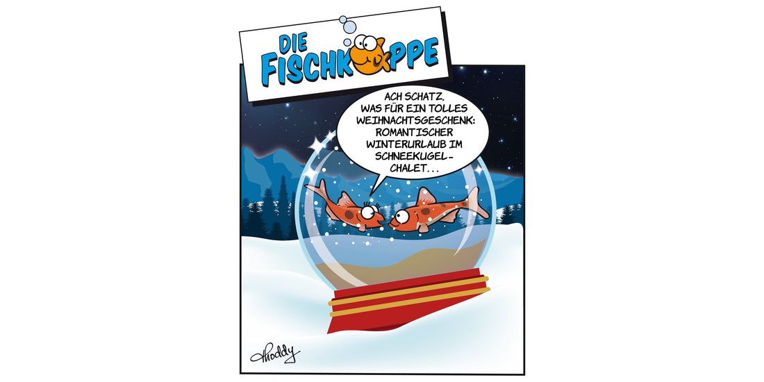 Die Fischköppe aus aquaristik 1/2021