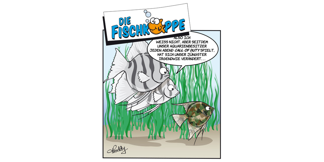 Die Fischköppe aus aquaristik 6/2021