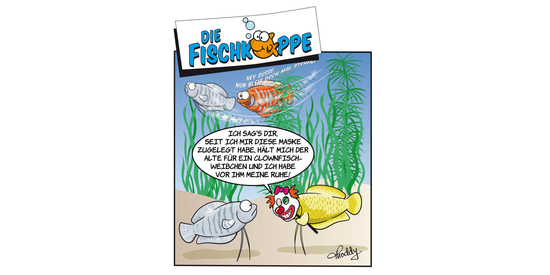 Die Fischköppe aus aquaristik 1/2022