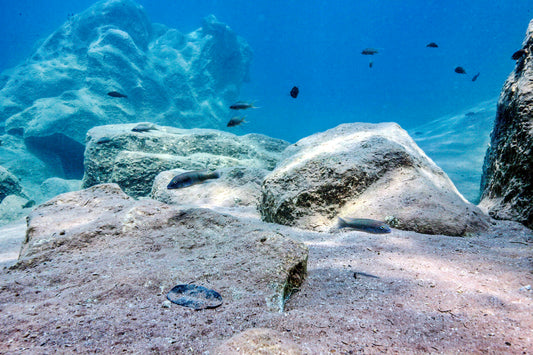 Sand, Sand und nochmal Sand