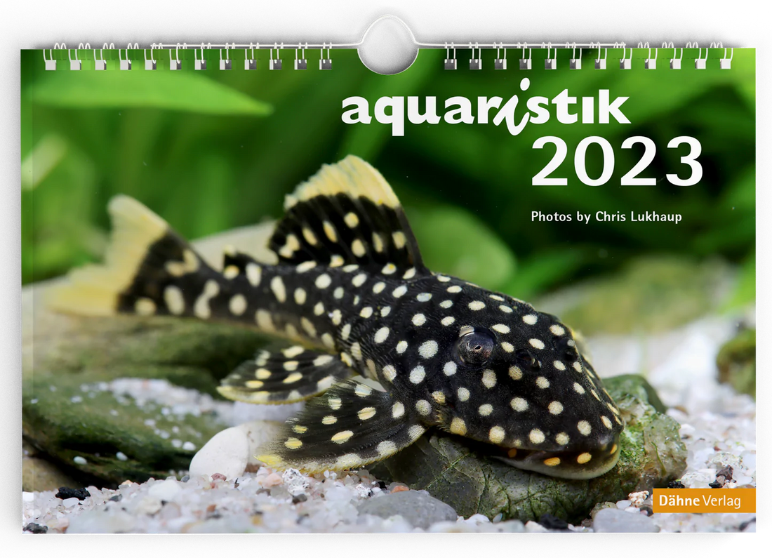 Besondere Kalender für Aquarianer