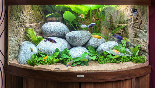 So bleibt unser Hobby bezahlbar: Energie sparen – Teil 1 von 3