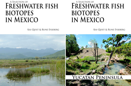 Mexikos Fischbiotope