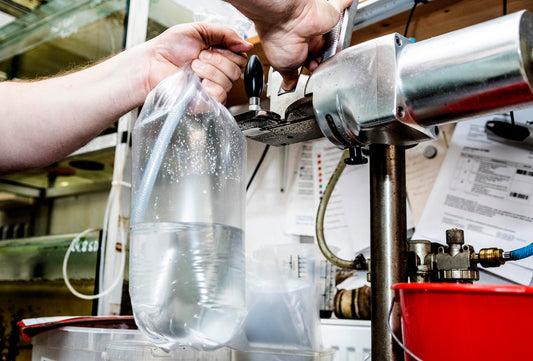 Die optimale Wassermenge für Kampffische