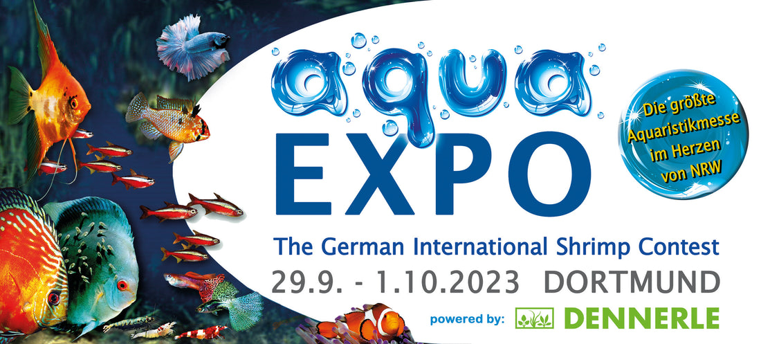 Neue Aussteller und aufwendige Championate auf der aqua EXPO 2023