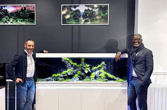 Shop für Aquascaper in Paris