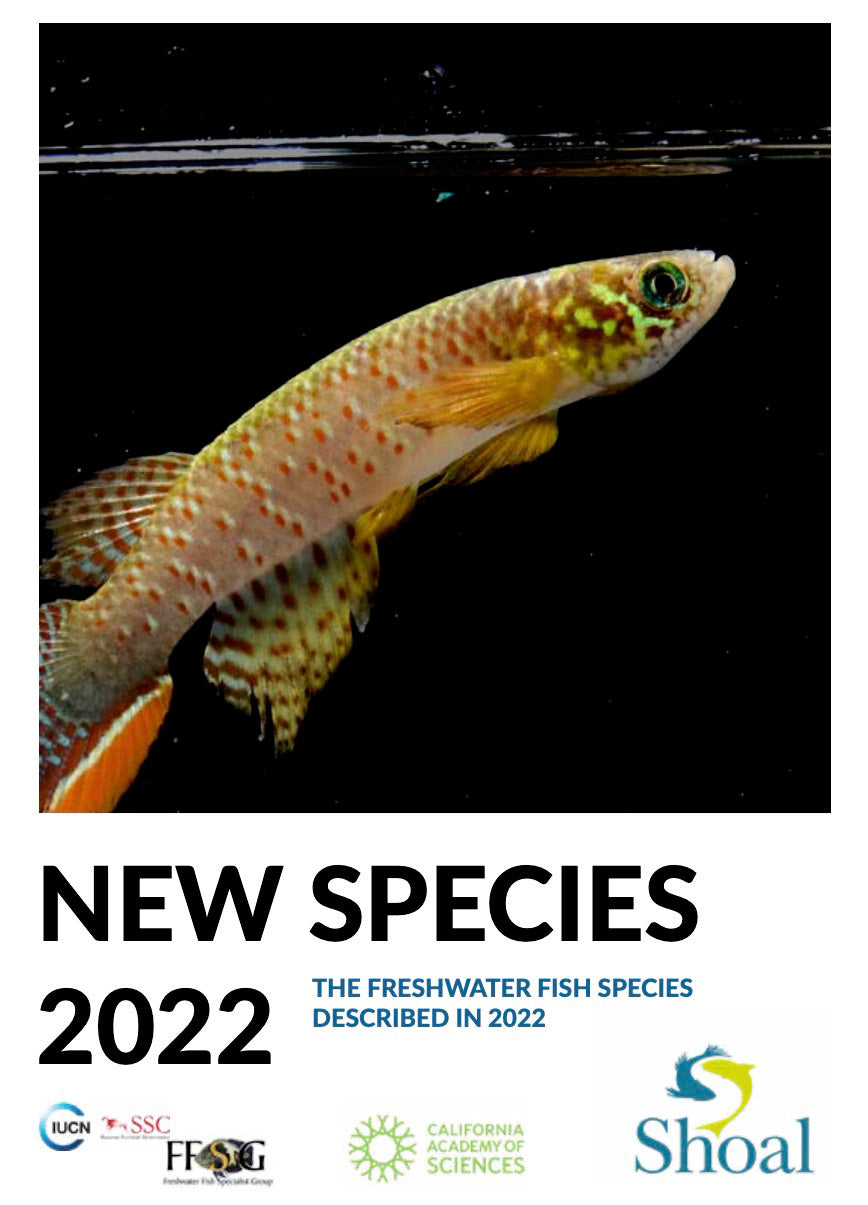 201 neue Süßwasserfische