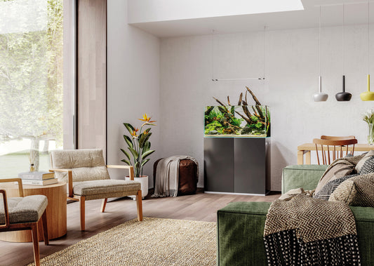 Oase sponsert „The Art of the Planted Aquarium“