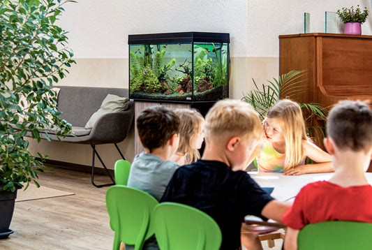 Sera spendet Aquarium an Kindergarten