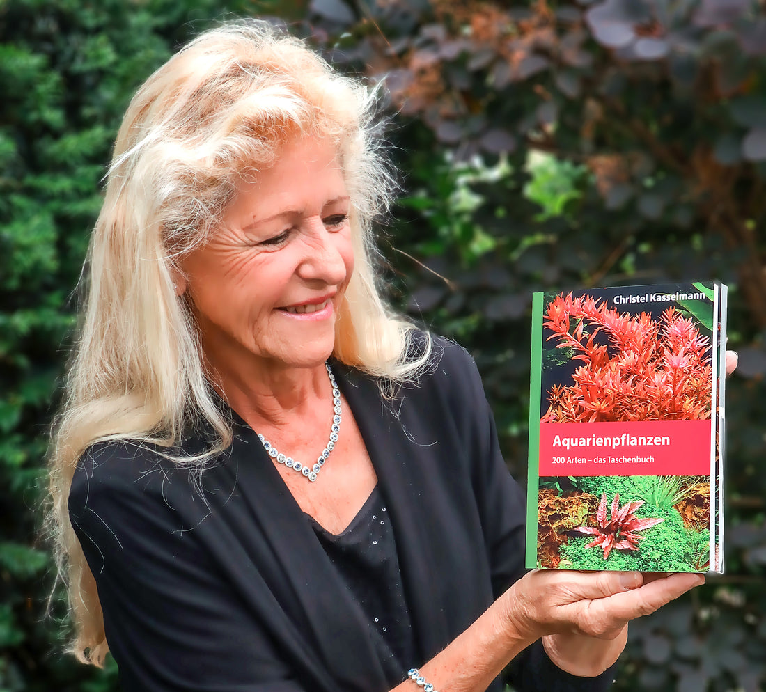 „Aquarienpflanzen“ beim Dähne Verlag