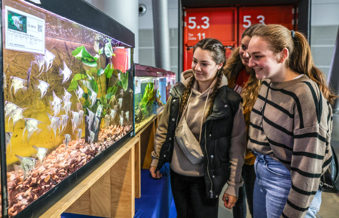 115.000 Besucher bei Animal & co.