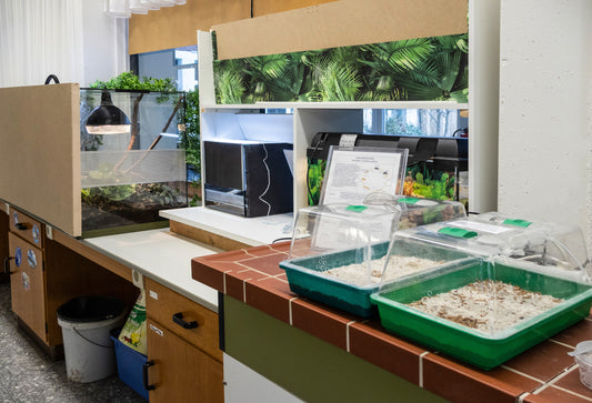 Aquaristik (und mehr) in der Schule
