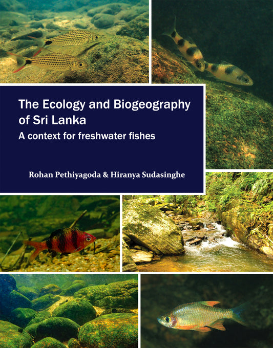 Nachschlagewerk über Sri Lankas Fischwelt