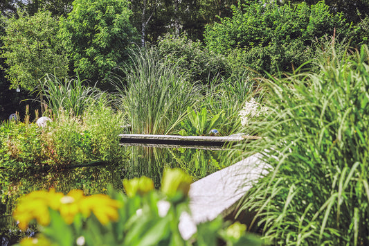 Frühjahrsputz im Gartenteich