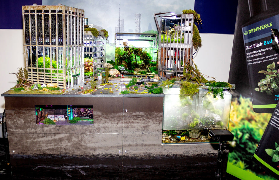 Interzoo: Neues für das Hobby