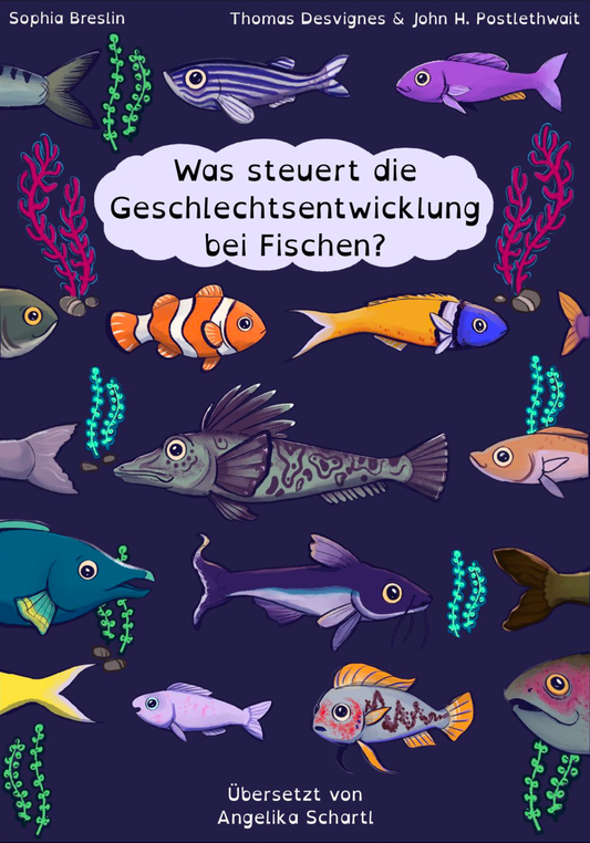 Comic zur Geschlechterbestimmung