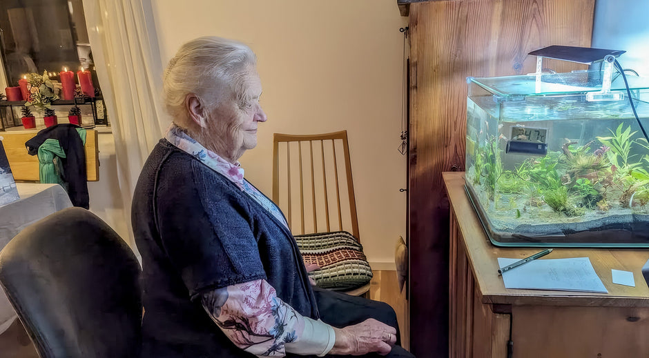 Oma liebt die Fische