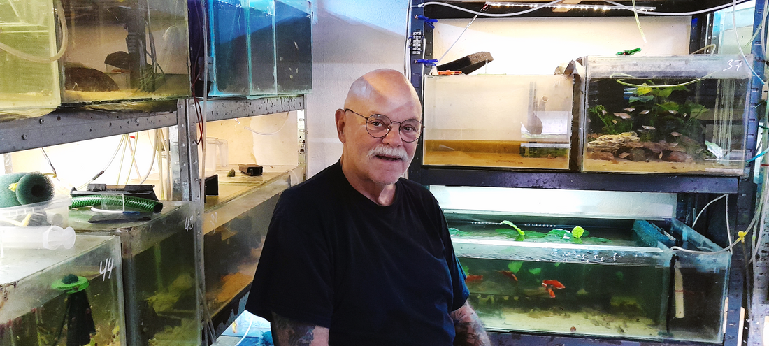 Züchten auf Dänisch