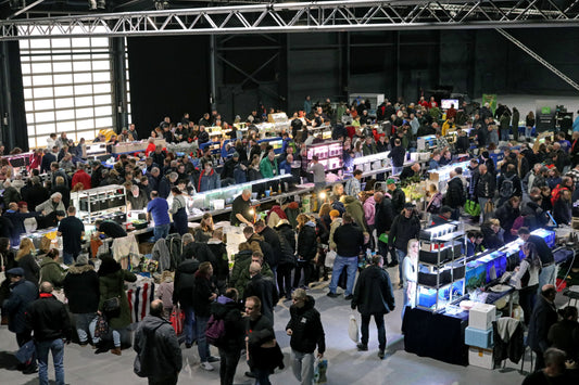 Braunschweiger Börse