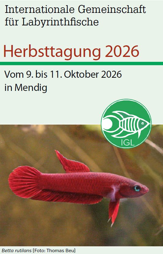 Herbsttagung der IGL