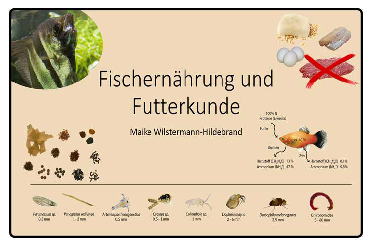 Onlinevorträge zu verschiedenen Themen