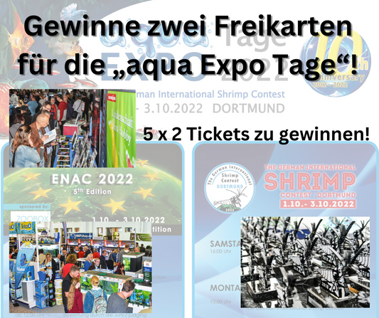 Freikarten für die Aqua-Expo-Tage in Dortmund gewinnen