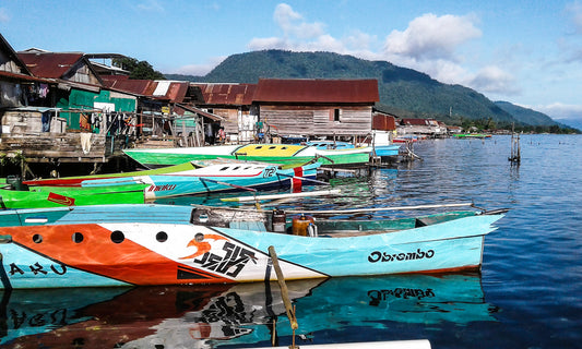 S.O.S. für die Fauna des Inselparadieses