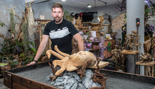 Neuer Aquascaping-Spezialist im Ruhrgebiet