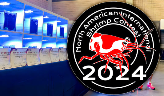 Amerikas Shrimp Contest NAISC stockt auf