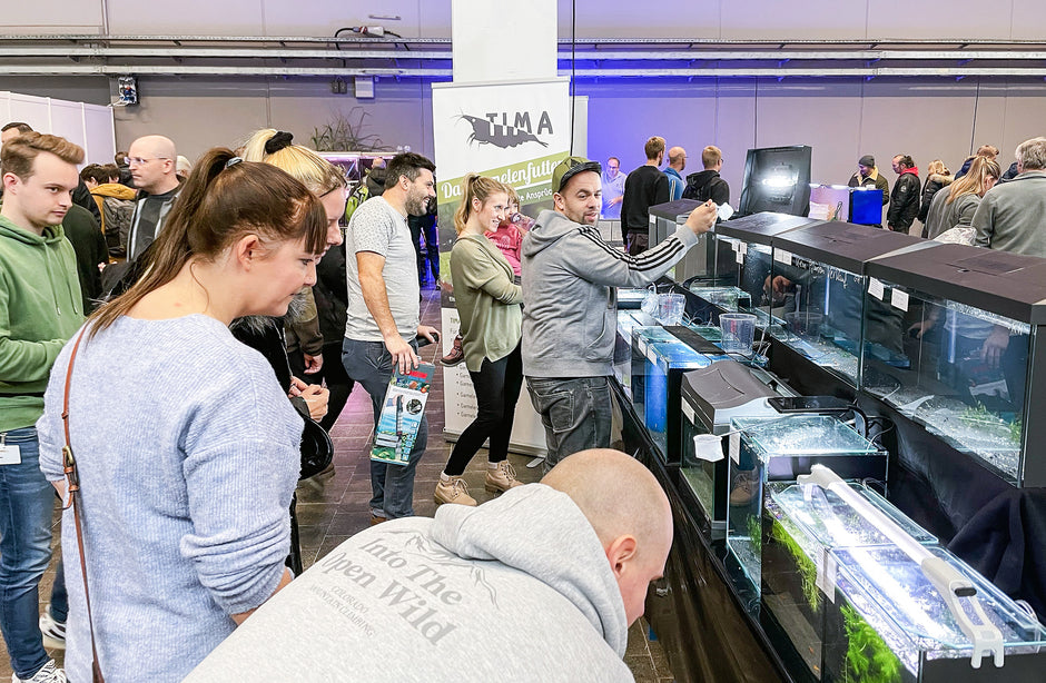 Aus für Fisch & Reptil