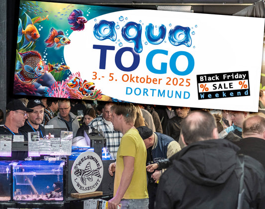 Dortmund: aqua TO GO feiert Anfang Oktober 2025 Premiere