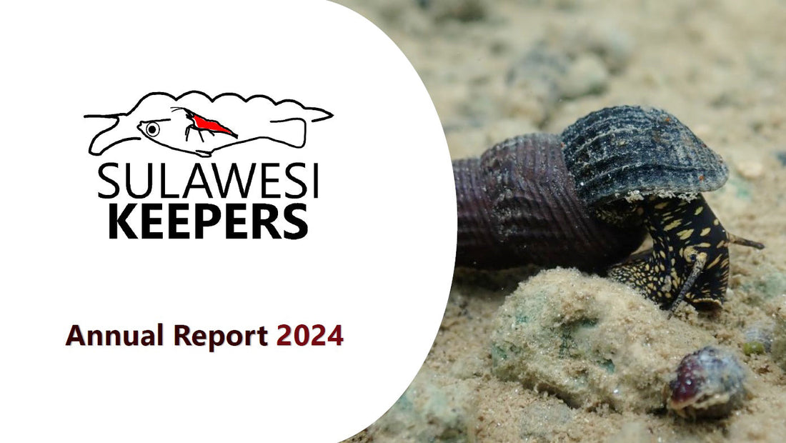 Jahresbericht 2024 der Sulawesi Keepers ist online