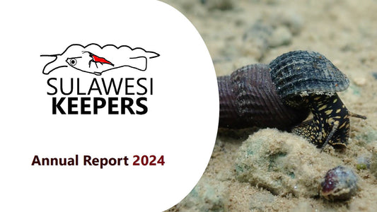 Jahresbericht 2024 der Sulawesi Keepers ist online
