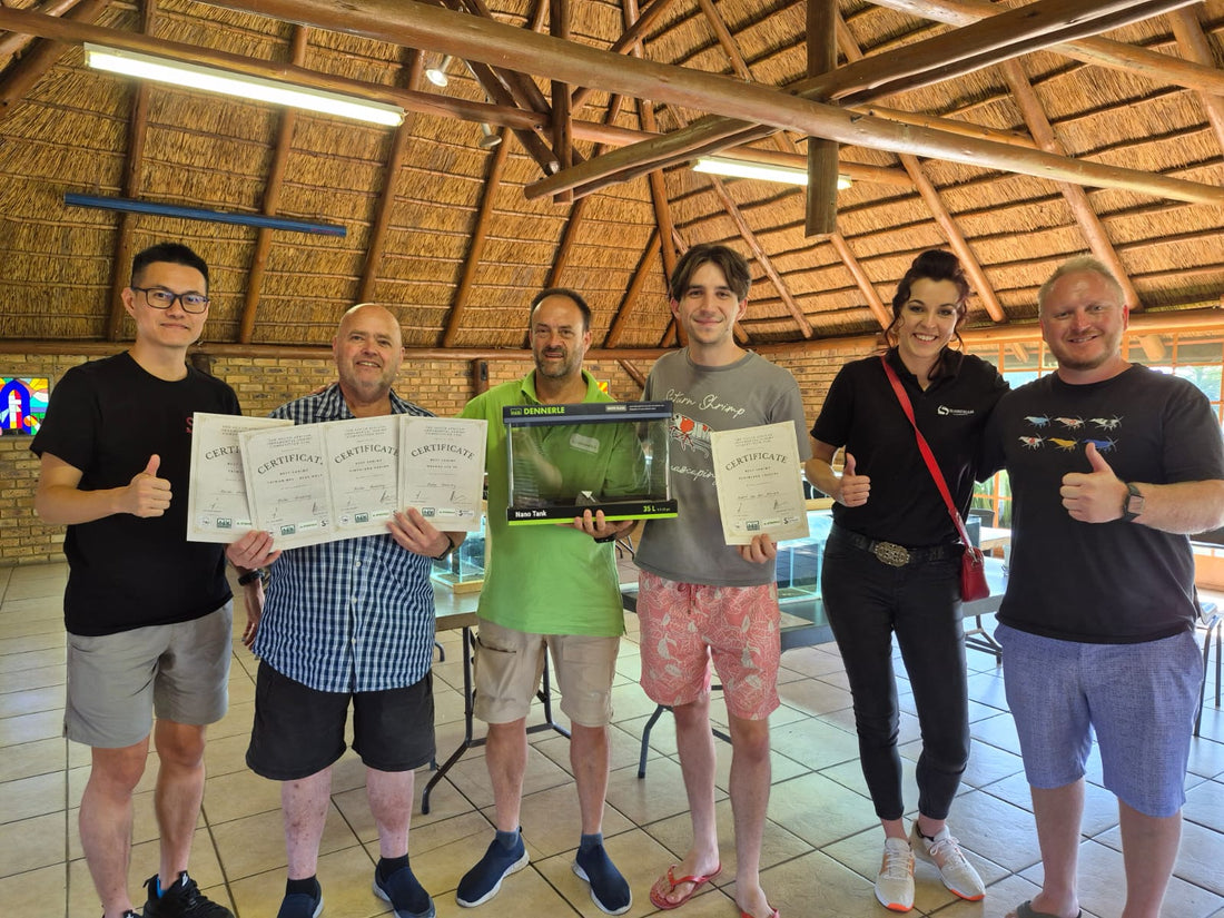 Ein Championat in Südafrika