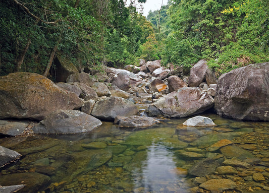 Herkunft und Haltung von Weichwassergarnelen