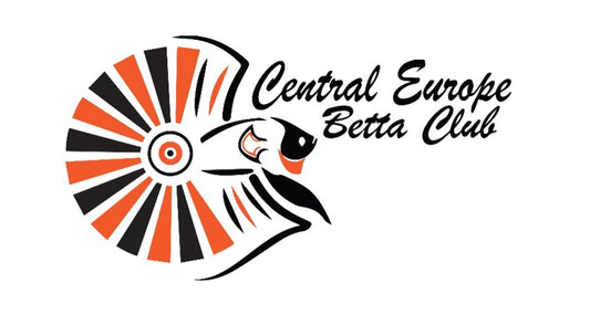 Internationale Betta-Show in Wien