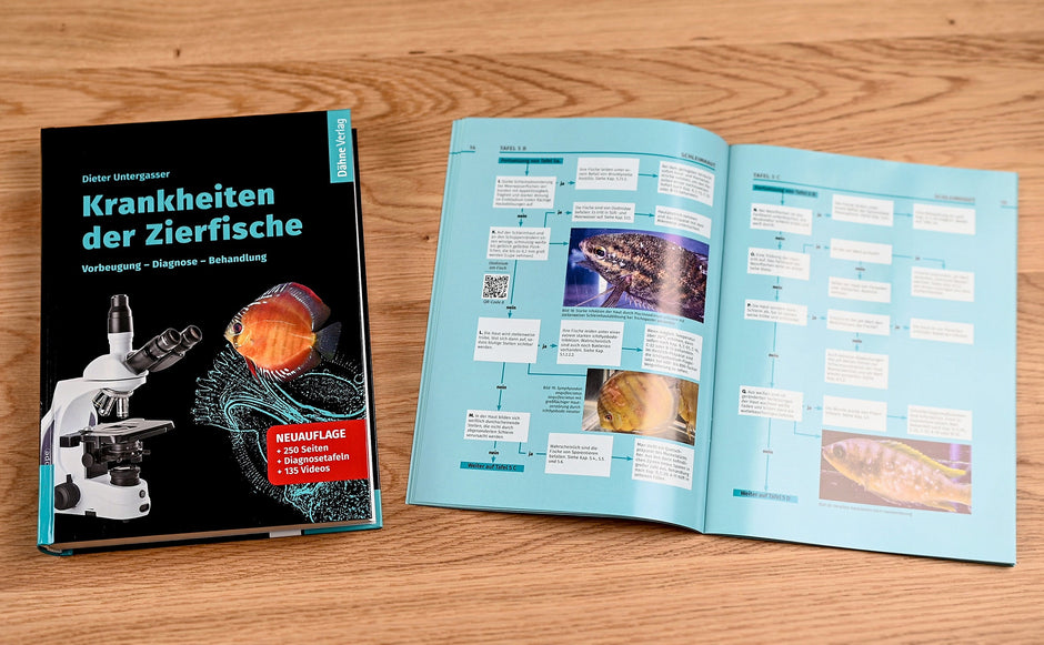 „Ein Muss für Aquarianer“