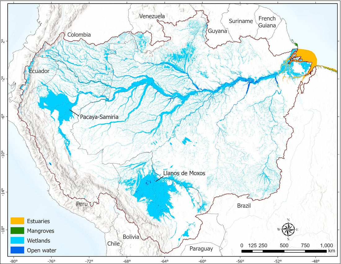 Die globale Rolle der Süßgewässer Amazoniens