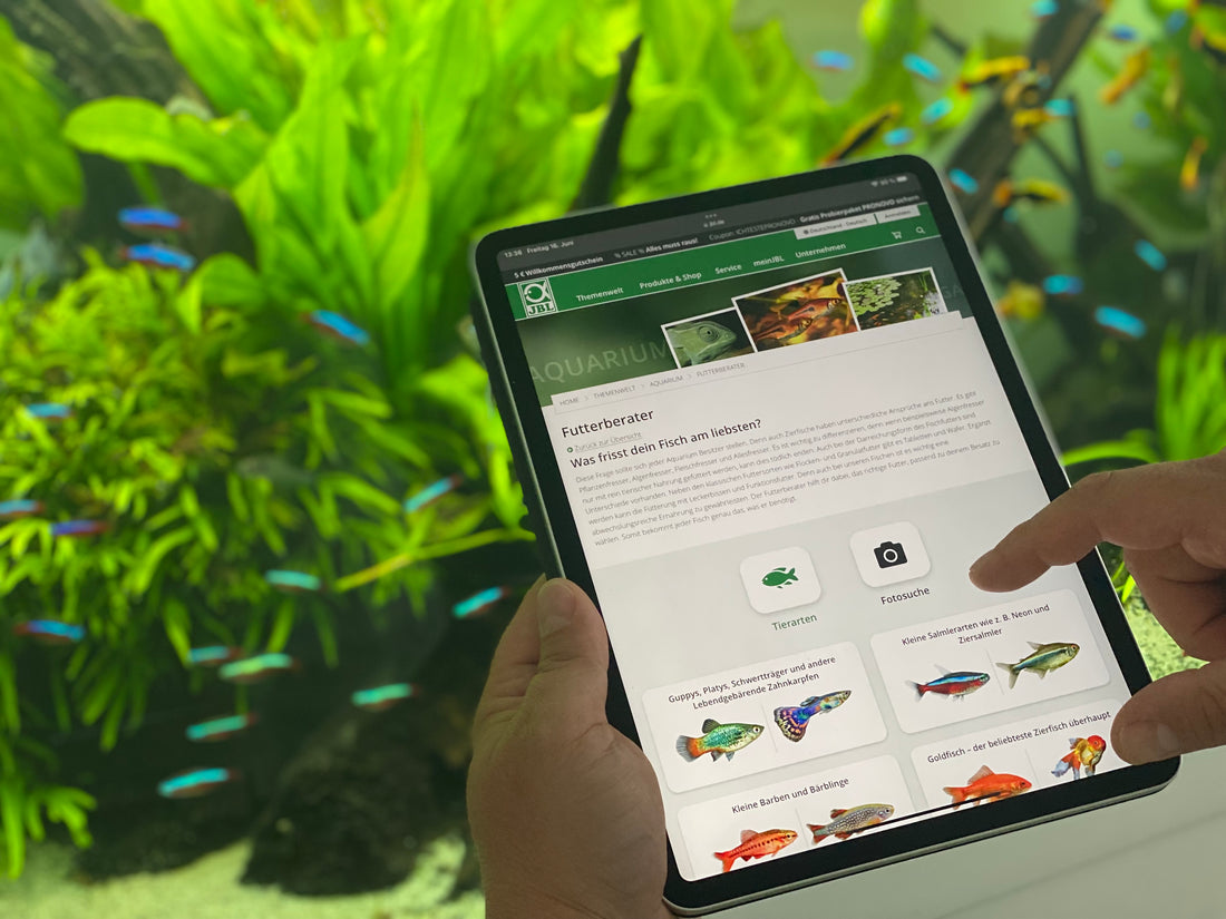 Futterberater ist 365 Tage im Jahr online
