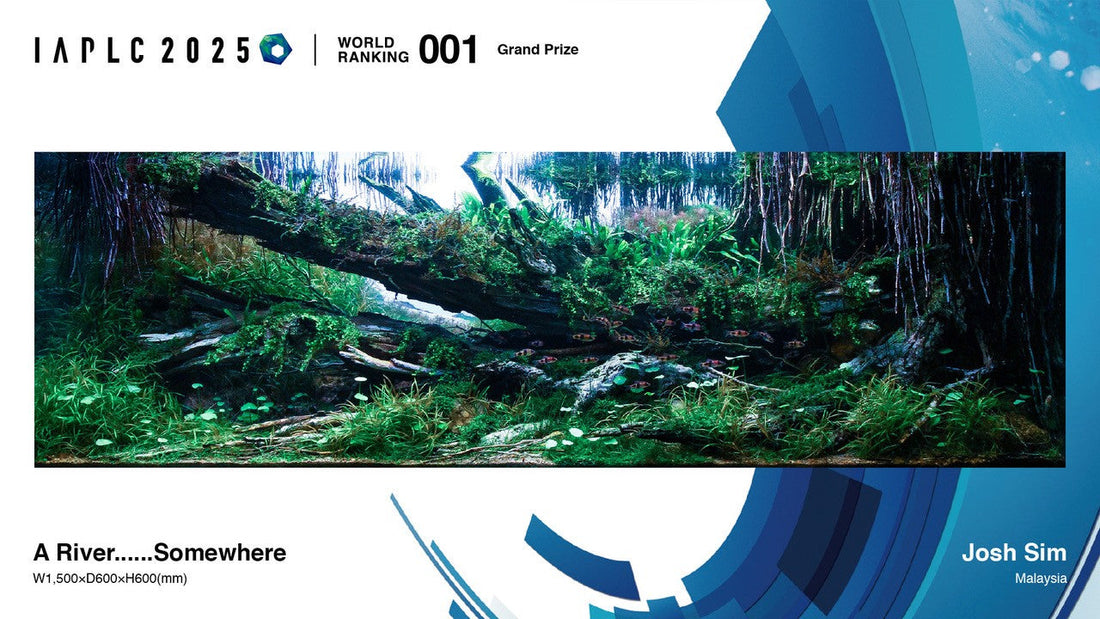 Der Sieger des International Aquatic Plants Layout Contest steht fest