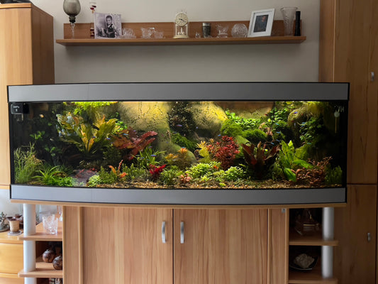 Leser-Aquarium Juli 2026