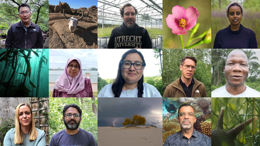 Mehr Arten als angenommen könnten vom Aussterben bedroht sein