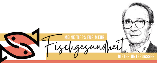 Lymphocystis – der falsche Ichthyo