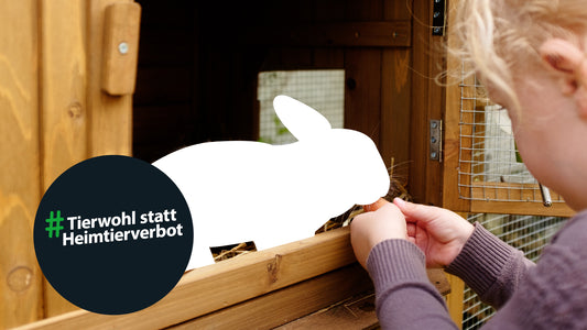 ZZF gegen Positivliste