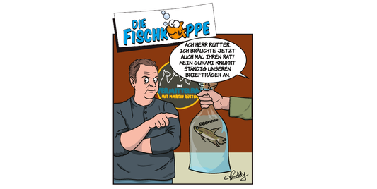 Die Fischköppe aus aquaristik 3/2023