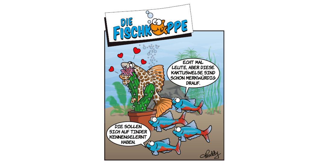 Die Fischköppe aus aquaristik 2/2024