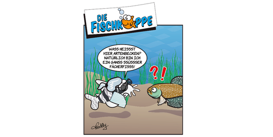 Die Fischköppe aus aquaristik 3/2025