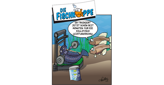 Die Fischköppe aus aquaristik 6/2025